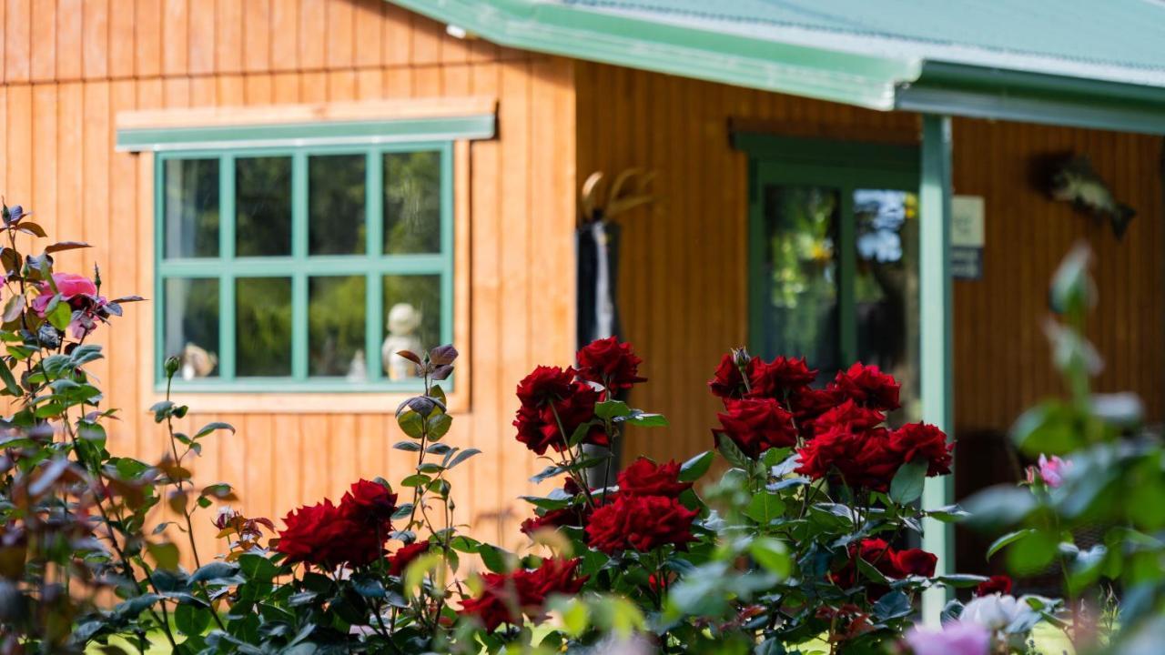 The Jolly Poacher Retreat Blenheim Exterior photo